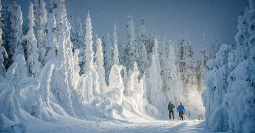 Thompson Okanagan gets love in international travel stories