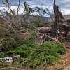 <span style="font-weight:bold;">PHOTOS:</span> Osoyoos and area besieged by crushing Wednesday windstorm