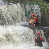 'Everybody was ecstatic': Firefighters rescue dog from fast waterfall in BC