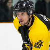 Hockey player recovering after neck gashed by skate during game