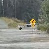 <span style="font-weight:bold;">UPDATE:</span> Death toll rises to 3 after mudslide, road washout triggered by heavy rain in BC