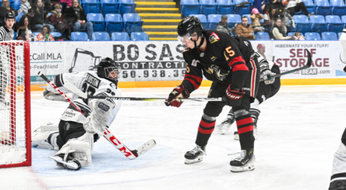 Warriors dominate the Blackfalds Bulldogs on home ice