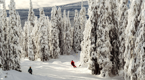 Big White: Unlimited visibility, scattered afternoon flurries